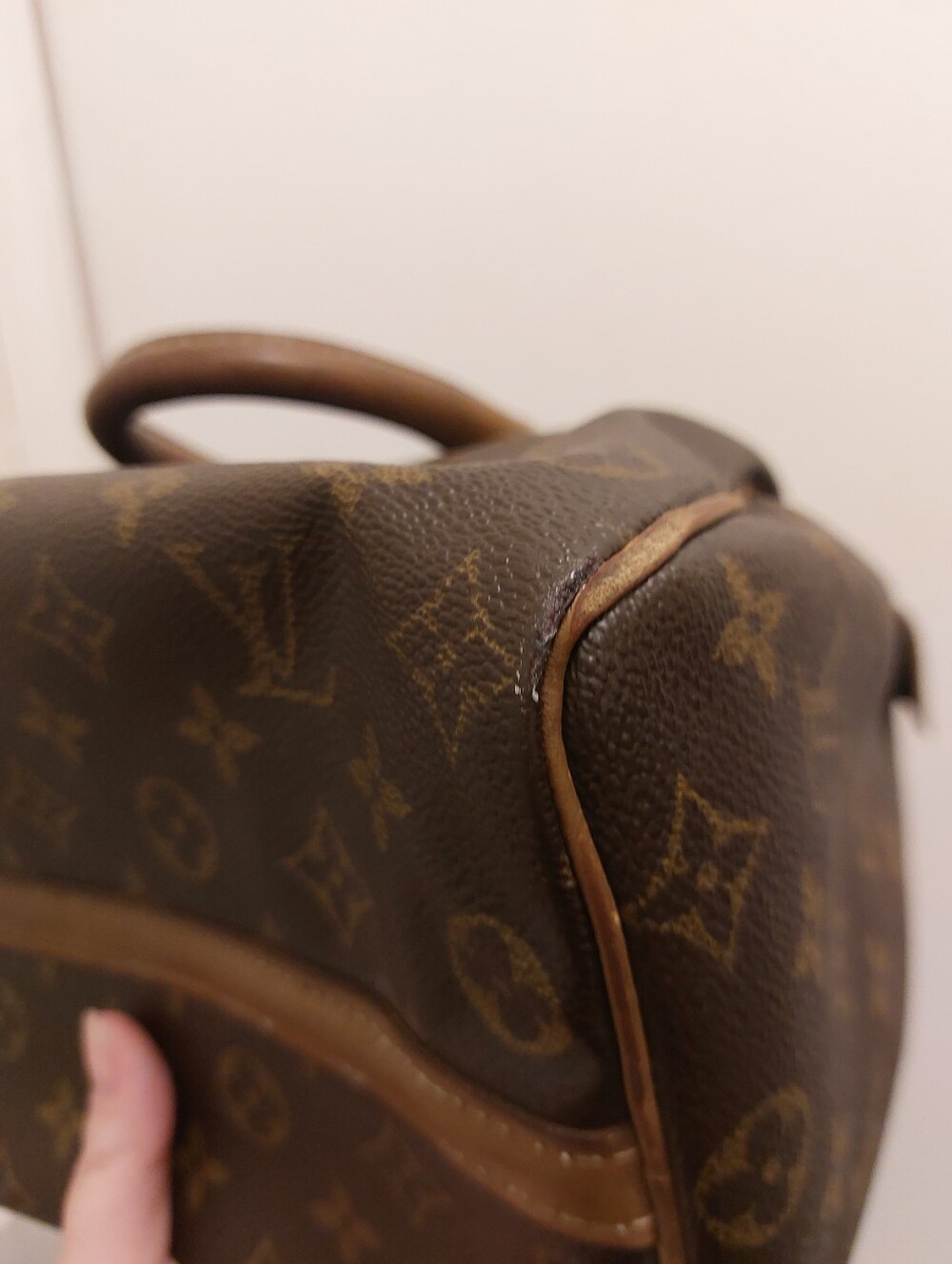 Louis Vuitton Speedy 25 Bag - Picture 8 of 11